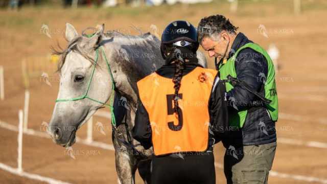 Raid-St-Bartomeu-EQUUS-AREA-167