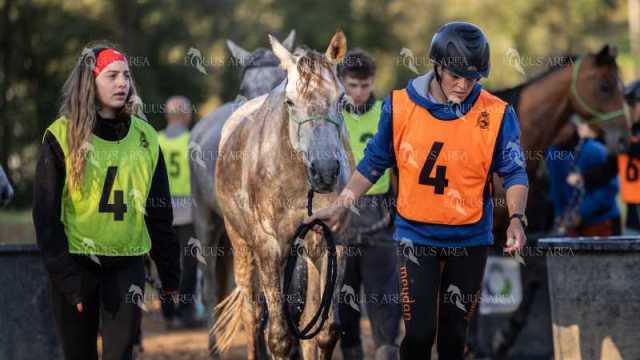Raid-St-Bartomeu-EQUUS-AREA-170