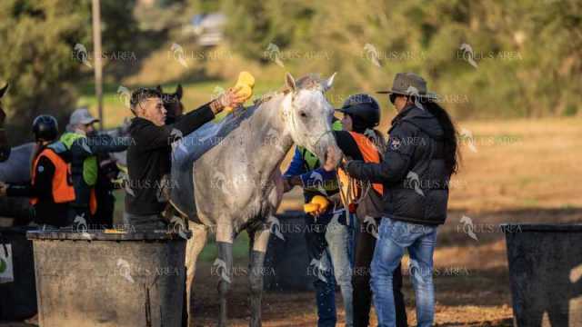 Raid-St-Bartomeu-EQUUS-AREA-171