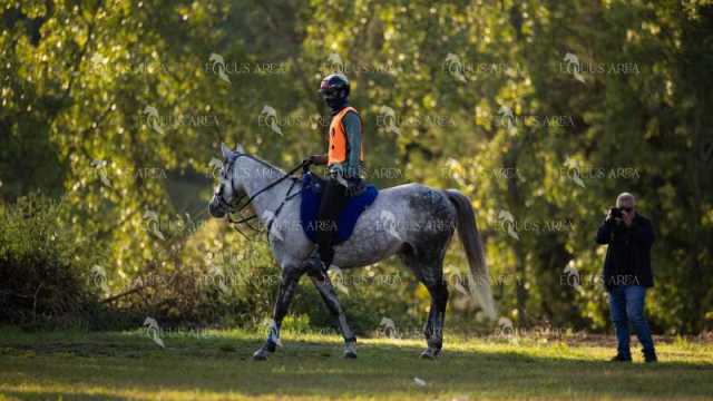 Raid-St-Bartomeu-EQUUS-AREA-172