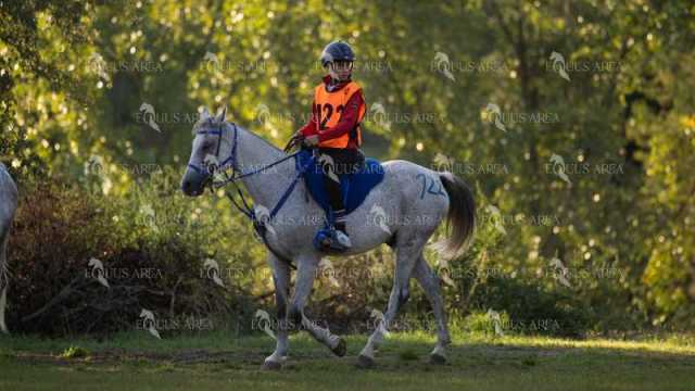 Raid-St-Bartomeu-EQUUS-AREA-174
