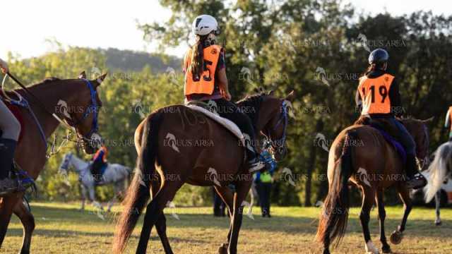 Raid-St-Bartomeu-EQUUS-AREA-176