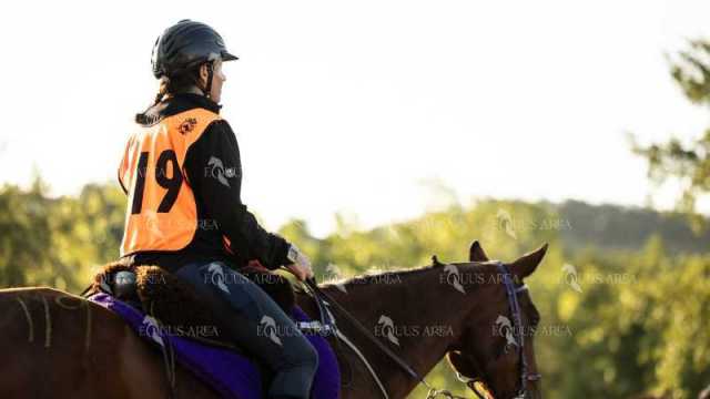 Raid-St-Bartomeu-EQUUS-AREA-177