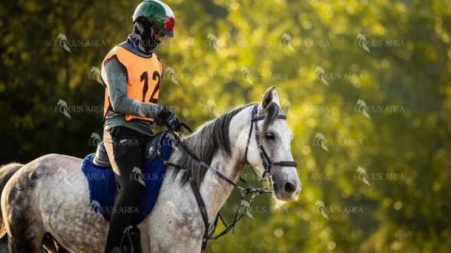 Raid-St-Bartomeu-EQUUS-AREA-178