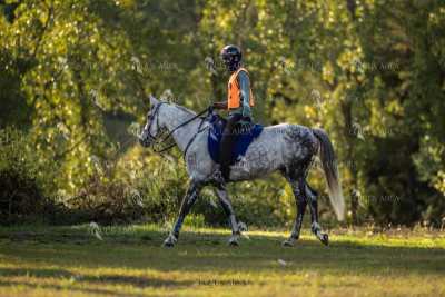 Raid-St-Bartomeu-EQUUS-AREA-179