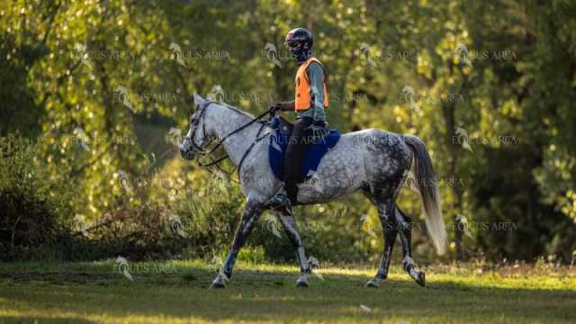 Raid-St-Bartomeu-EQUUS-AREA-179