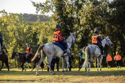 Raid-St-Bartomeu-EQUUS-AREA-180