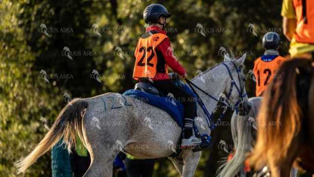 Raid-St-Bartomeu-EQUUS-AREA-181