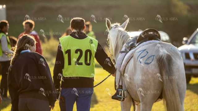 Raid-St-Bartomeu-EQUUS-AREA-182