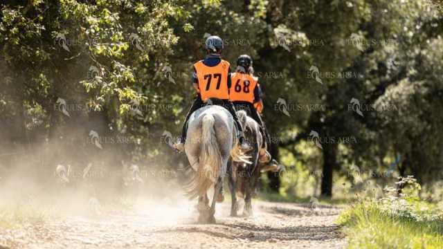 Raid-St-Bartomeu-EQUUS-AREA-183