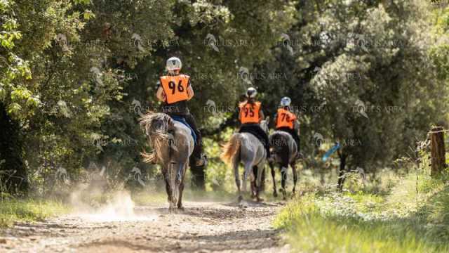Raid-St-Bartomeu-EQUUS-AREA-184