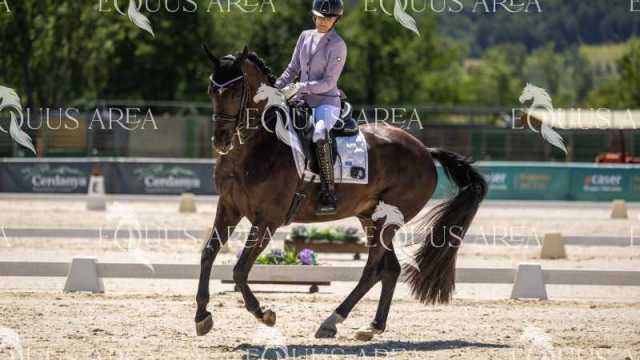 La-Ruta-Domingo-7-12