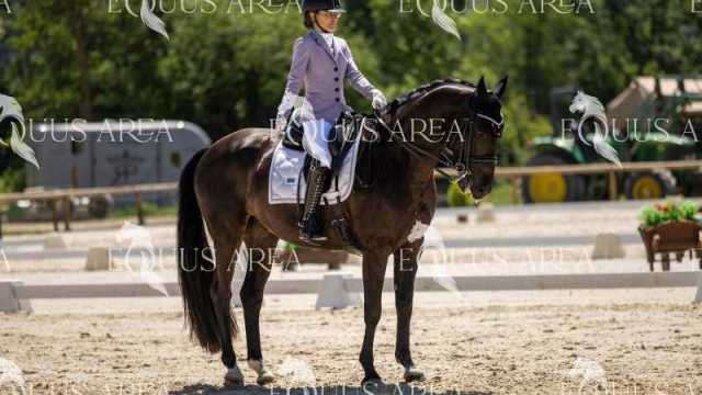 La-Ruta-Domingo-7-16