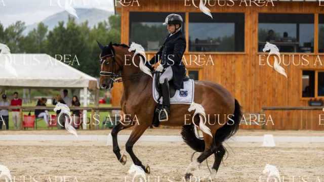 Premios-Domingo-tarde-03