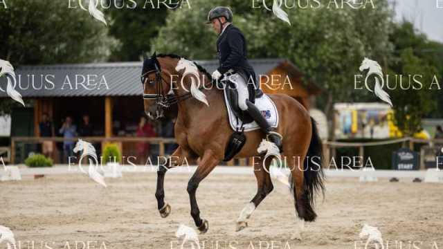 Premios-Domingo-tarde-04