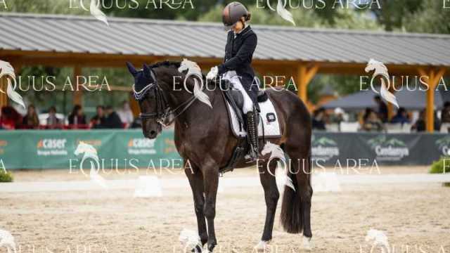 Premios-Domingo-tarde-05