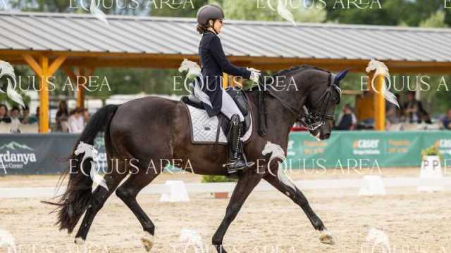Premios-Domingo-tarde-06