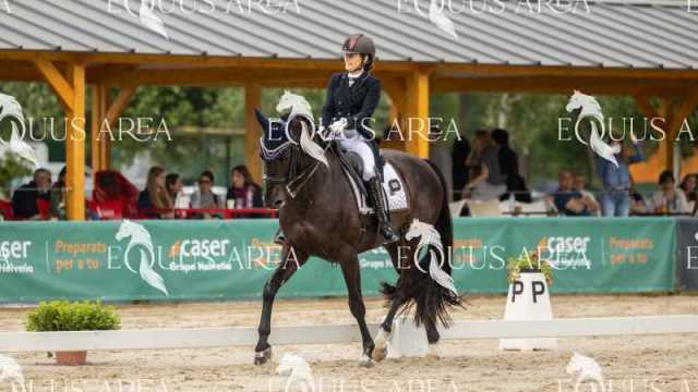 Premios-Domingo-tarde-07