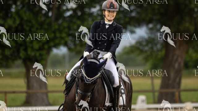Premios-Domingo-tarde-08