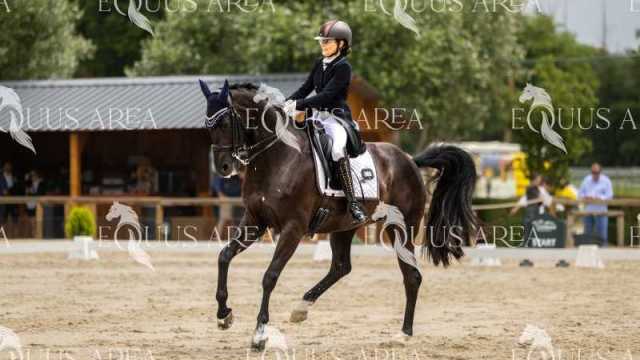 Premios-Domingo-tarde-10