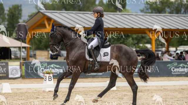 Premios-Domingo-tarde-11
