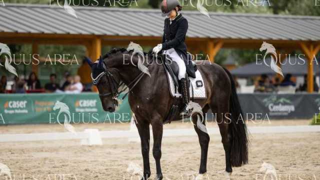 Premios-Domingo-tarde-12