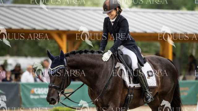 Premios-Domingo-tarde-13
