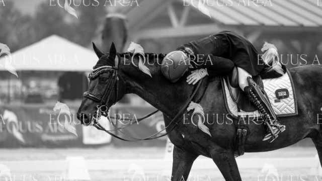 Premios-Domingo-tarde-14