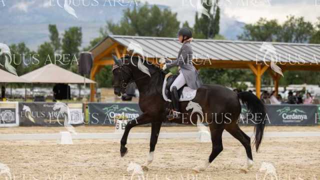 Premios-Domingo-tarde-15