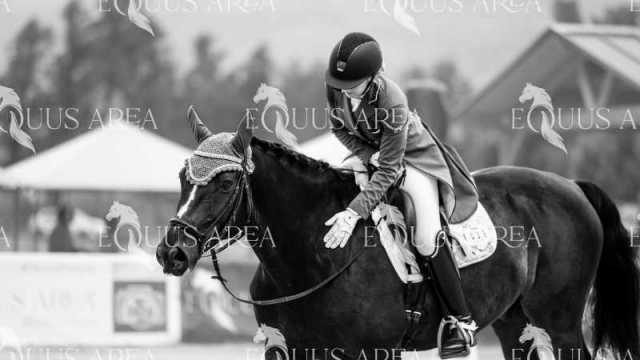 Premios-Domingo-tarde-16