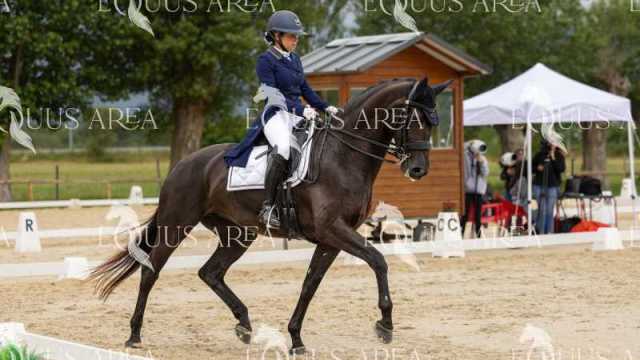 Premios-Domingo-tarde-17