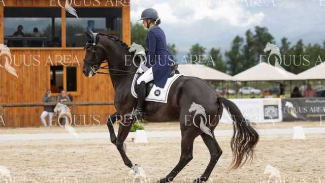 Premios-Domingo-tarde-18
