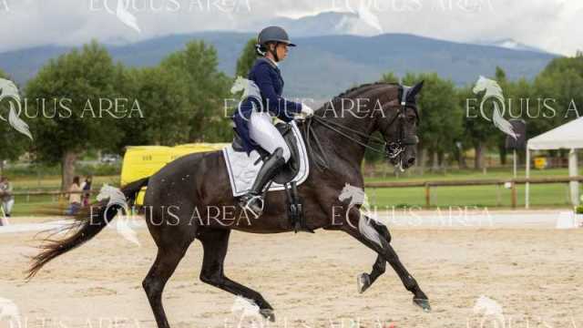 Premios-Domingo-tarde-19