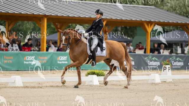 Premios-Domingo-tarde-21