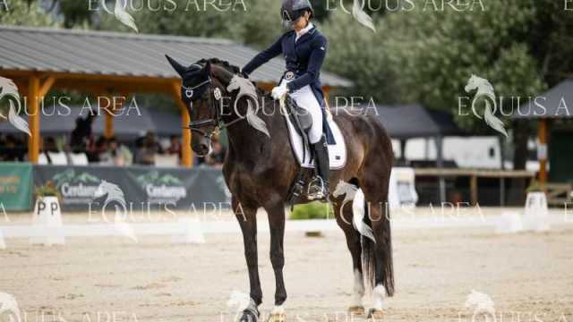 Premios-Domingo-tarde-22