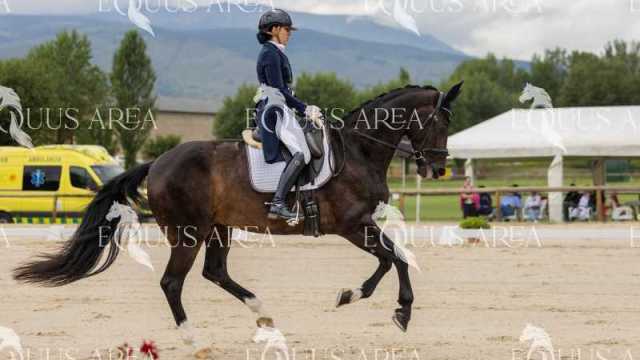 Premios-Domingo-tarde-25