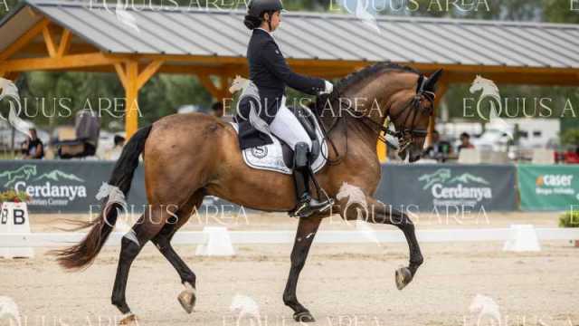 Premios-Domingo-tarde-26
