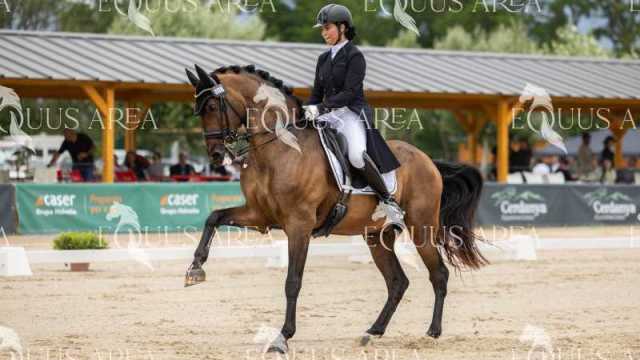 Premios-Domingo-tarde-27