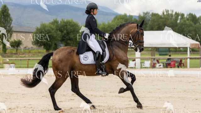 Premios-Domingo-tarde-28