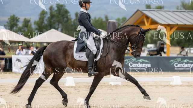 Premios-Domingo-tarde-29