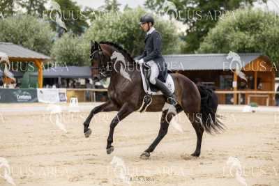 Premios-Domingo-tarde-30