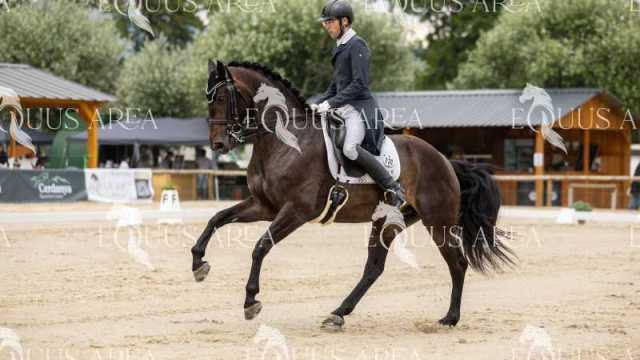 Premios-Domingo-tarde-30