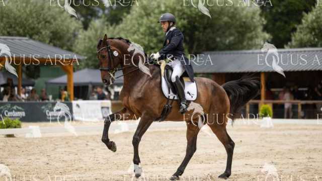 San-Jorge-sabado-10