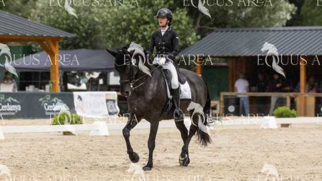 San-Jorge-sabado-19
