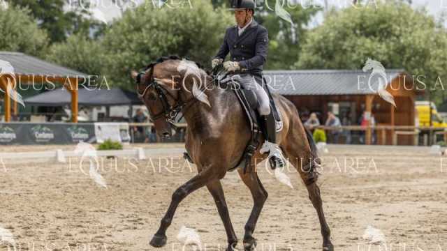 San-Jorge-sabado-22