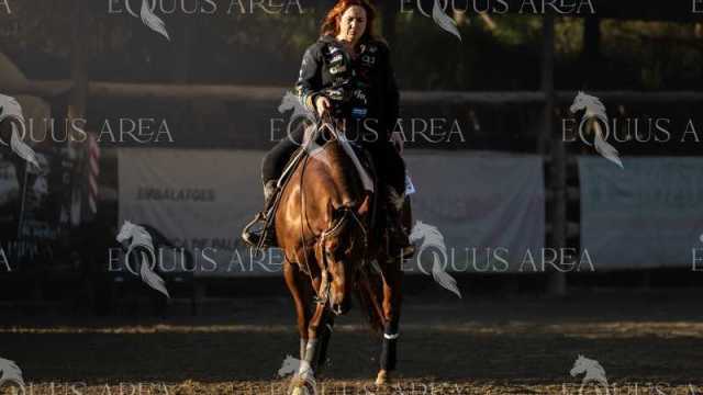 Instalacions-hipica-571