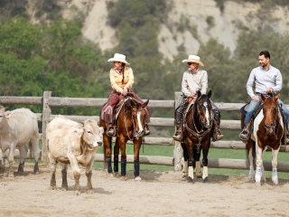 REINING |REGIONAL | NATURAL HÍPIC | 04.2024