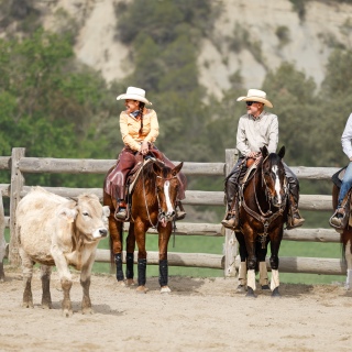 REINING |REGIONAL | NATURAL HÍPIC