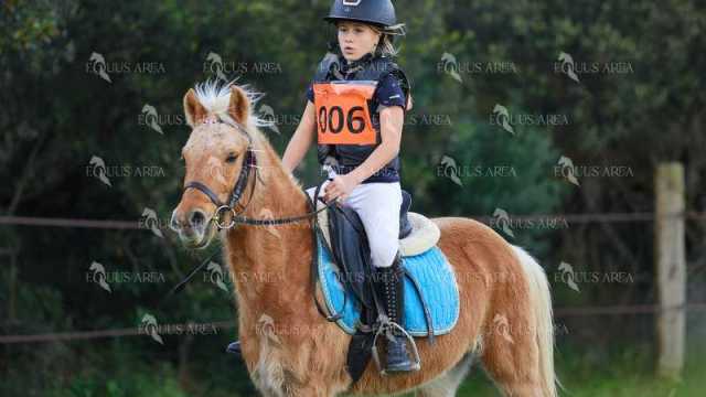 TREC01-06082024-01