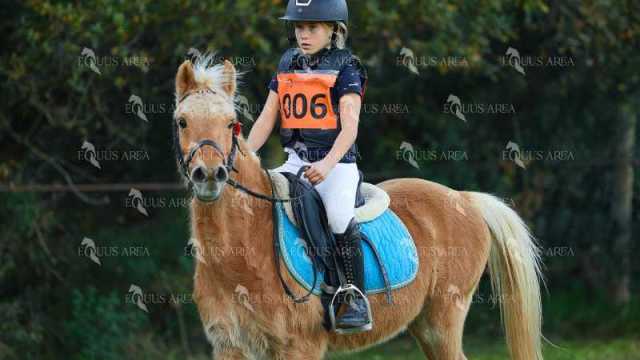 TREC01-06082024-02